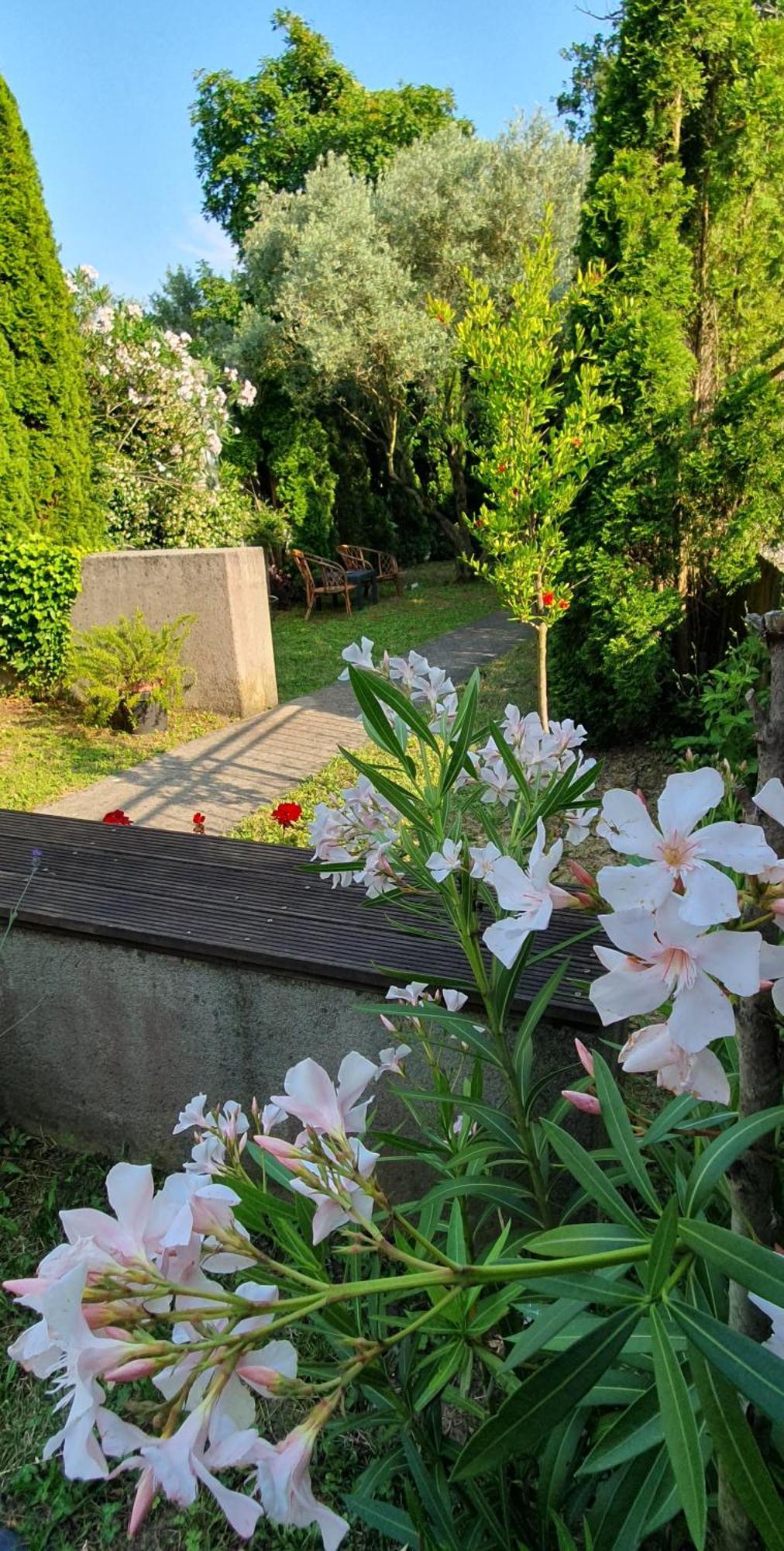 Apartament Cypress Garden Portorož Zewnętrze zdjęcie