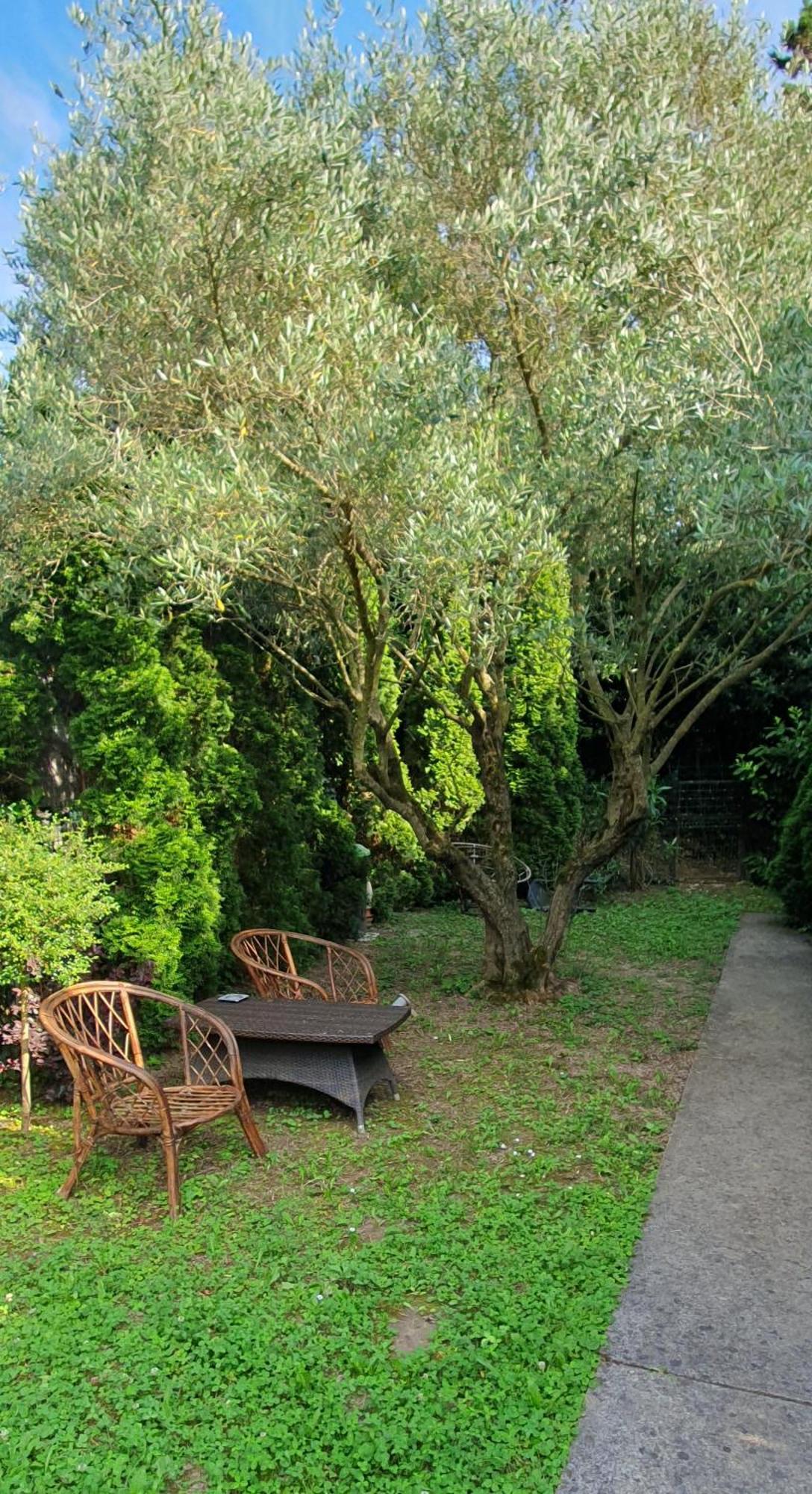 Apartament Cypress Garden Portorož Zewnętrze zdjęcie